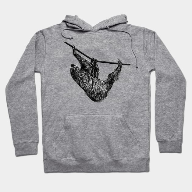 Linnaeus's two-toed sloth Hoodie by lorendowding